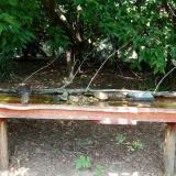 photo 2021-07-26 13-32-15