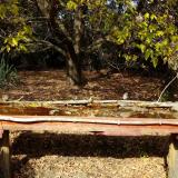 photo 2021-10-19 13-23-30