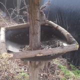 photo 2019-03-15 08-59-06