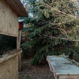 photo 2022-01-13 14-42-41