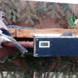 photo 2021-02-21 07-26-25