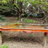 photo 2021-04-19 12-50-01