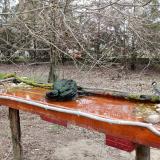 photo 2021-03-24 14-55-19