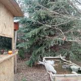 photo 2021-12-26 13-33-15