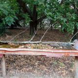 photo 2021-09-20 15-15-29