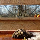 photo 2022-01-24 13-26-01