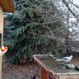 photo 2021-12-15 08-53-10