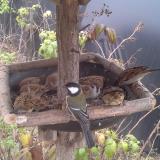 photo 2019-12-07 13-37-06