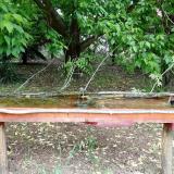 photo 2021-05-19 11-35-28