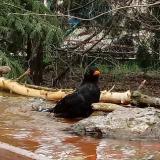 photo 2022-03-30 14-40-30 rigo