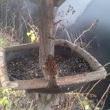 photo 2019-12-25 09-48-27