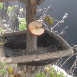 photo 2019-12-04 08-46-09