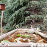 photo 2023-10-20 14-31-07