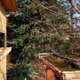 photo 2021-11-17 10-40-14