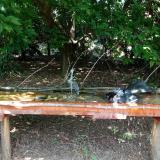 photo 2021-08-04 13-37-11