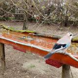 photo 2021-03-31 09-47-28