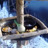 photo 2019-01-21 14-55-57