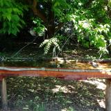 photo 2021-05-21 10-29-05