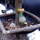 photo 2019-01-16 07-33-04