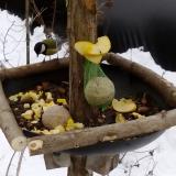 photo 2019-01-12 11-36-14