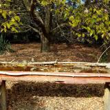 photo 2021-10-19 13-44-31