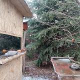 photo 2021-12-28 12-11-43