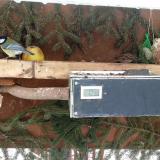 photo 2021-02-11 11-39-00