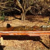 photo 2021-10-27 11-00-10