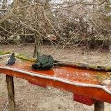 photo 2021-03-22 10-36-42