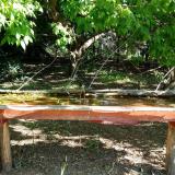 photo 2021-05-09 08-59-25