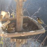 photo 2019-12-30 10-41-55