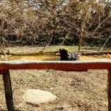 photo 2021-03-11 09-57-50