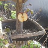 photo 2019-12-03 10-54-08