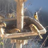 photo 2019-12-31 13-49-49