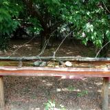 photo 2021-07-13 12-36-25