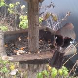 photo 2019-12-09 13-51-03