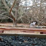 photo 2021-11-01 15-03-49