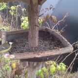 photo 2019-12-12 10-27-46