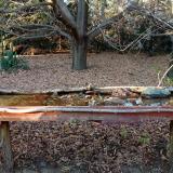 photo 2021-10-25 16-18-28