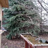 photo 2021-12-11 13-09-32