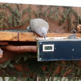 photo 2021-03-05 14-06-19