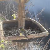 photo 2019-12-27 11-13-53