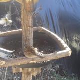 photo 2019-02-18 11-48-20