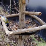 photo 2019-01-01 13-16-49