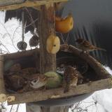 photo 2019-01-27 13-18-26