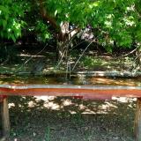 photo 2021-05-10 12-24-37