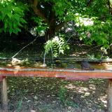 photo 2021-05-26 10-43-27