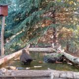 photo 2023-10-14 07-59-53