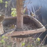 photo 2019-12-17 11-27-39