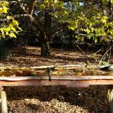 photo 2021-10-19 09-35-03